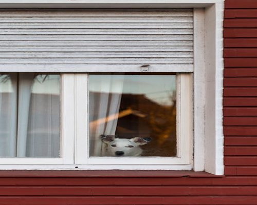 Mujer tomando un descanso visual mirando por la ventana